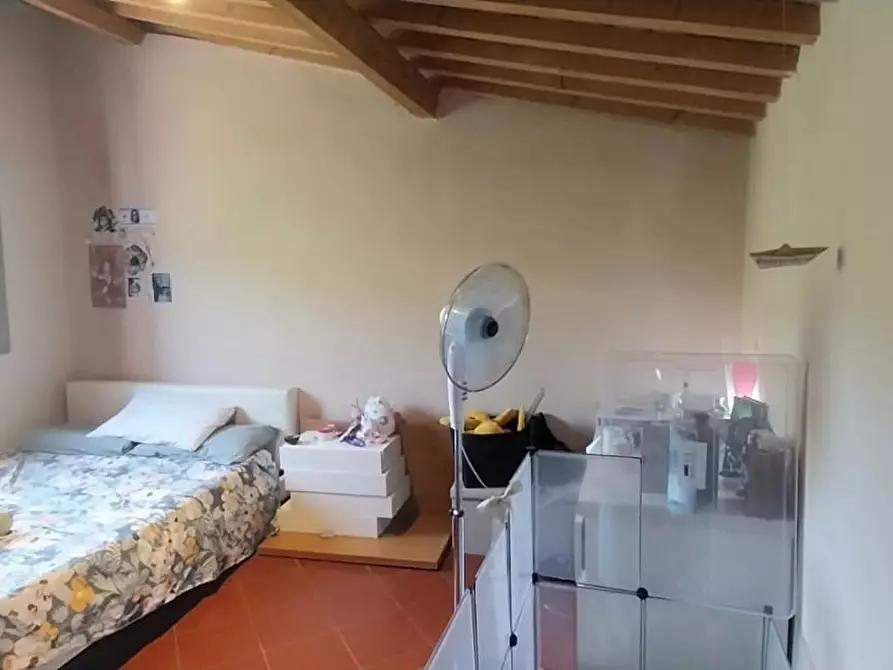 Immagine 26 di Appartamento in vendita  a Calci