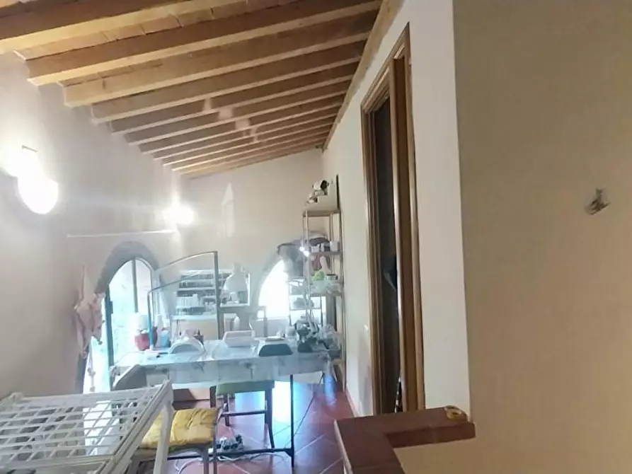 Immagine 21 di Appartamento in vendita  a Calci