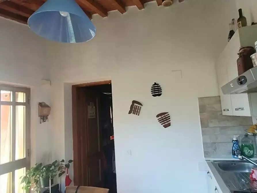 Immagine 3 di Appartamento in vendita  a Calci