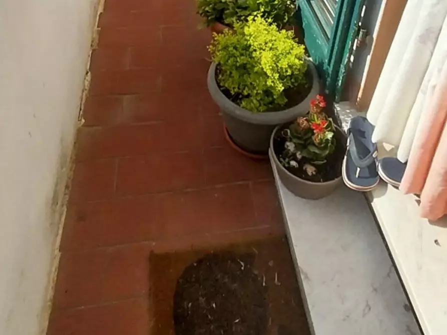 Immagine 7 di Appartamento in vendita  a Calci