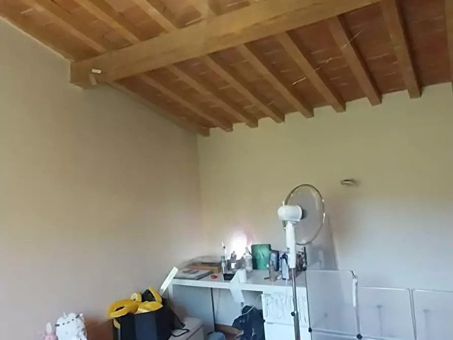 Immagine 23 di Appartamento in vendita  a Calci