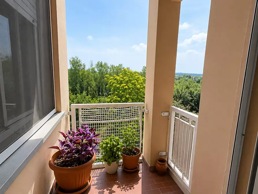 Immagine 4 di Appartamento in vendita  a Pontedera