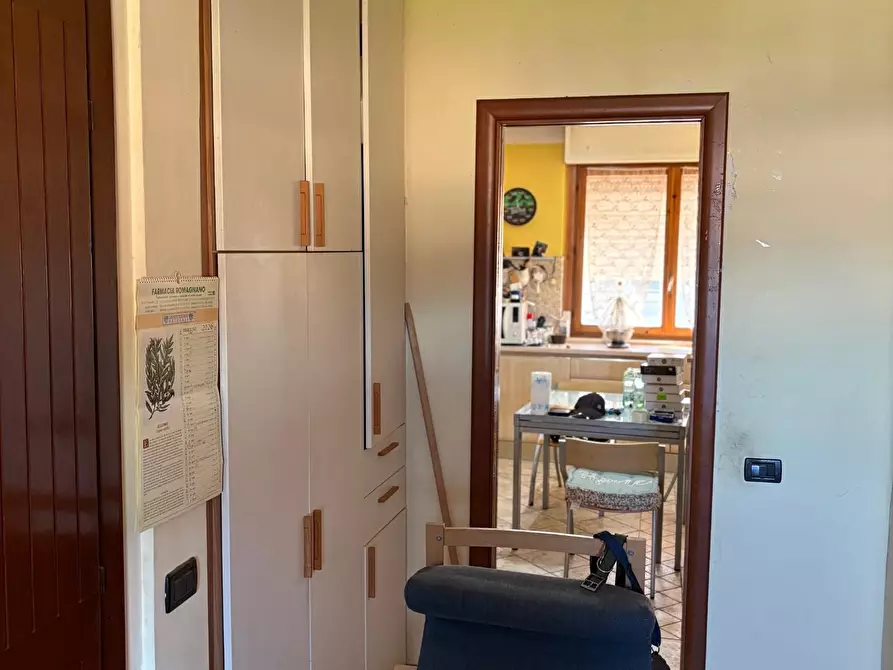 Immagine 2 di Appartamento in vendita  a Massa