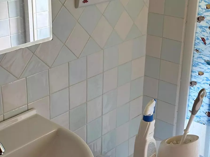 Immagine 15 di Appartamento in vendita  a Massa