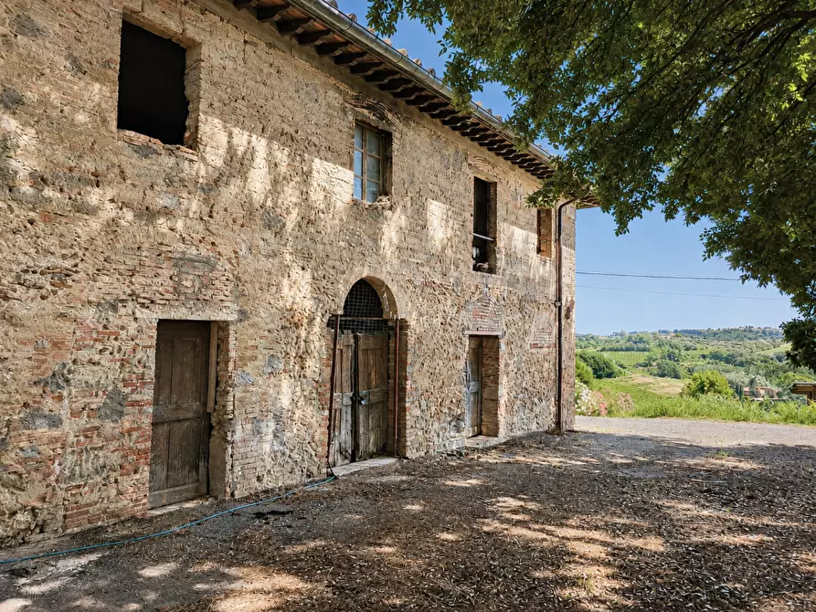 Immagine 30 di Rustico / casale in vendita  a Terricciola