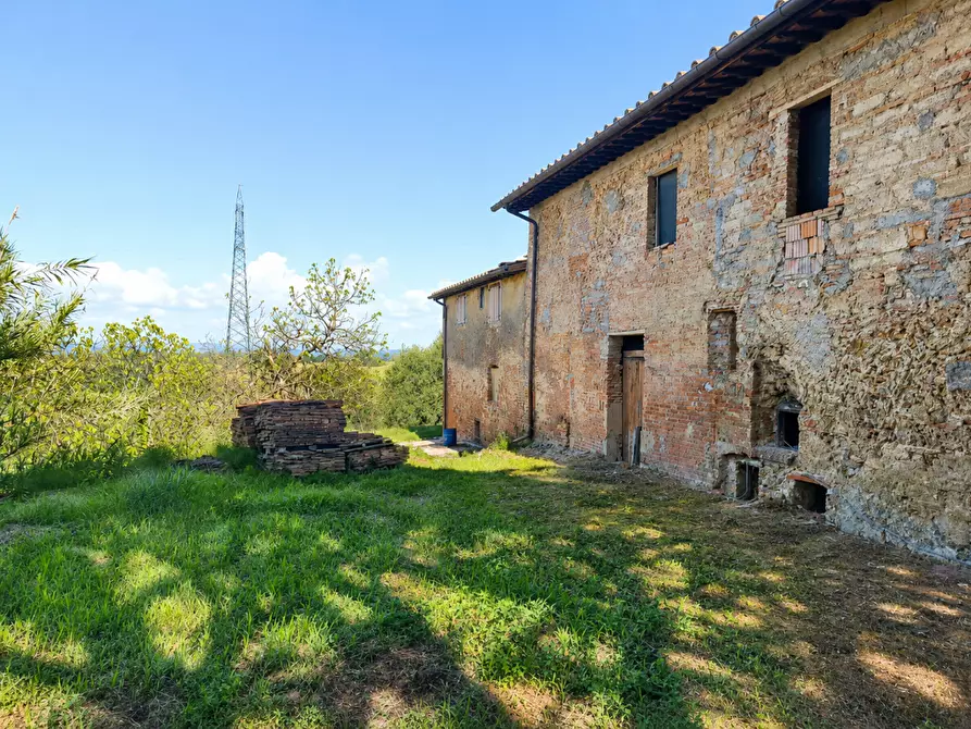 Immagine 20 di Rustico / casale in vendita  a Terricciola