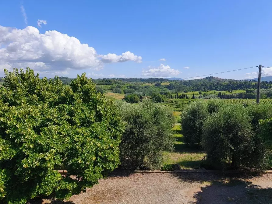 Immagine 2 di Rustico / casale in vendita  a Terricciola