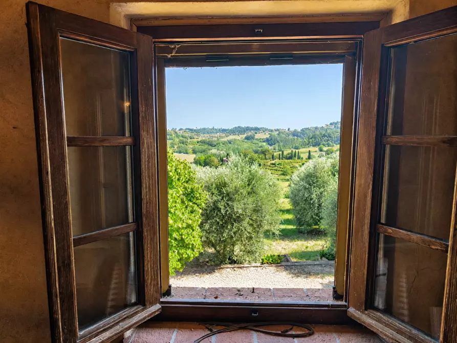 Immagine 5 di Rustico / casale in vendita  a Terricciola