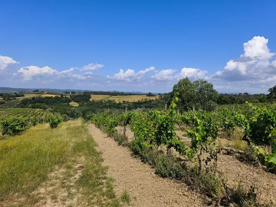 Immagine 18 di Rustico / casale in vendita  a Terricciola