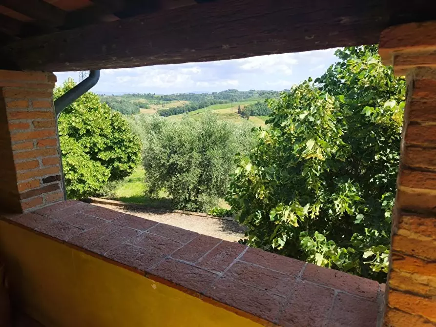 Immagine 10 di Rustico / casale in vendita  a Terricciola