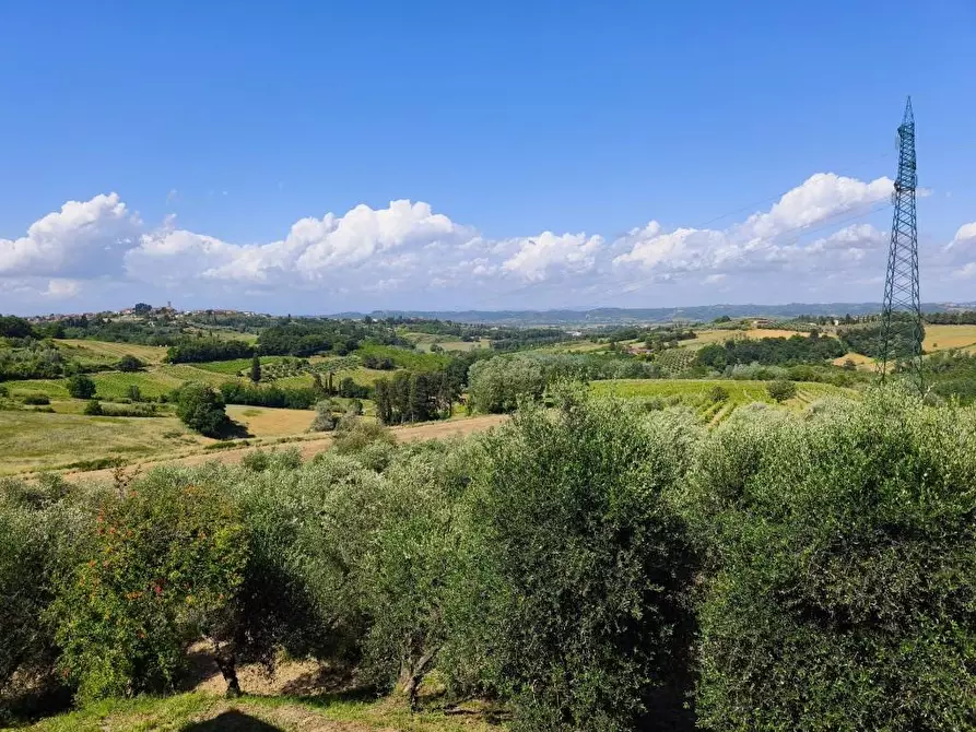Immagine 14 di Rustico / casale in vendita  a Terricciola