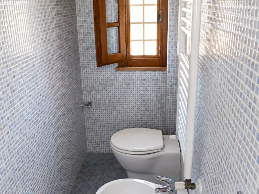 Immagine 21 di Rustico / casale in vendita  a Terricciola