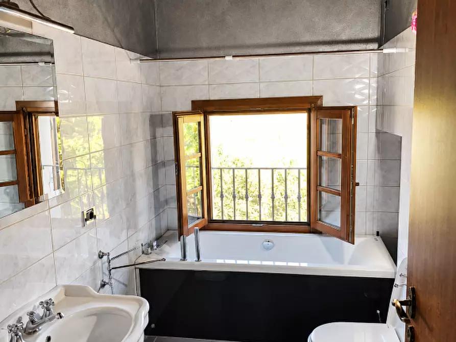 Immagine 15 di Rustico / casale in vendita  a Terricciola