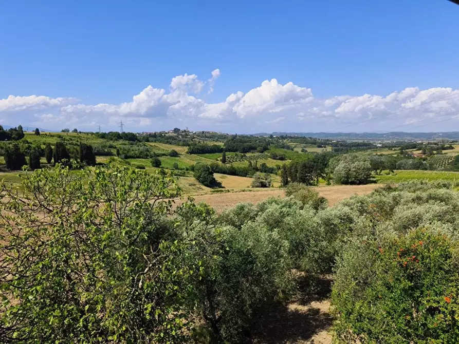 Immagine 4 di Rustico / casale in vendita  a Terricciola
