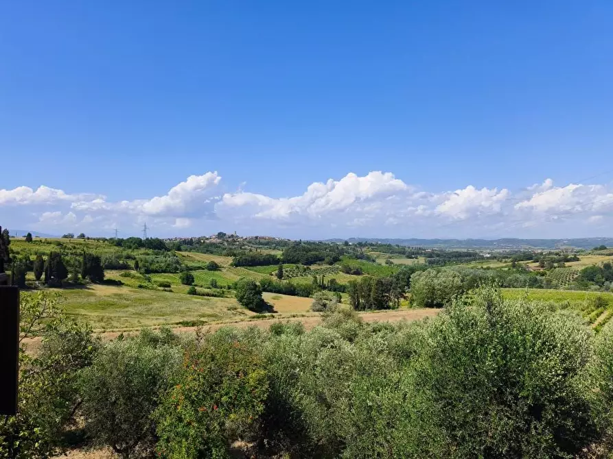Immagine 16 di Rustico / casale in vendita  a Terricciola