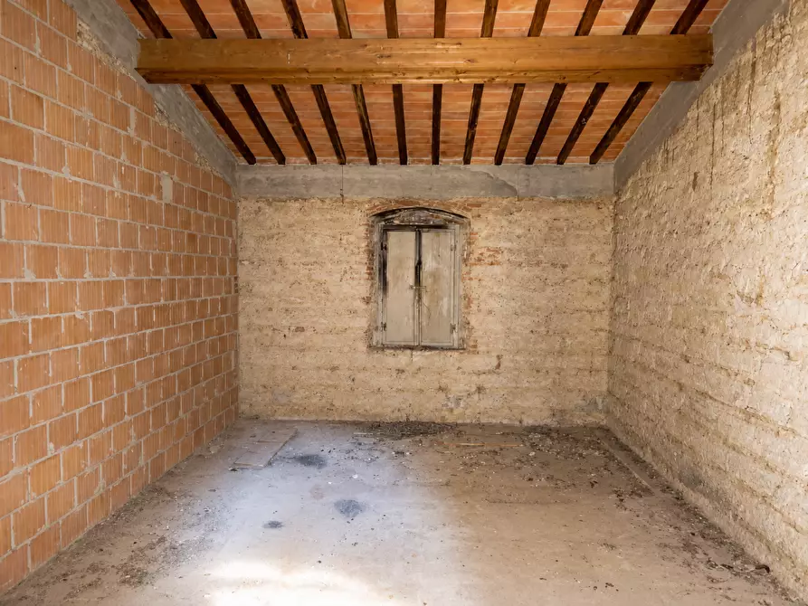 Immagine 19 di Rustico / casale in vendita  a Terricciola