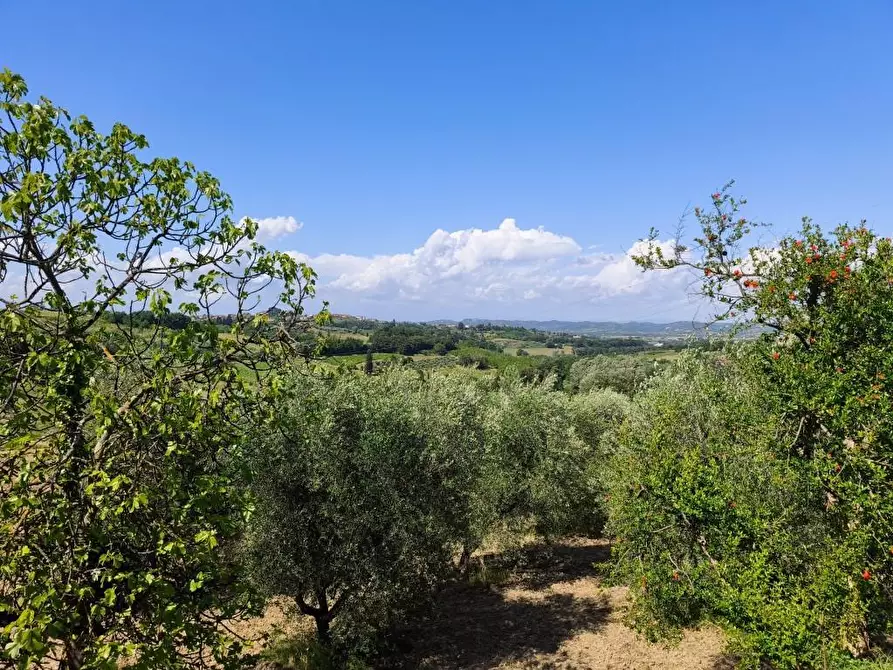 Immagine 25 di Rustico / casale in vendita  a Terricciola