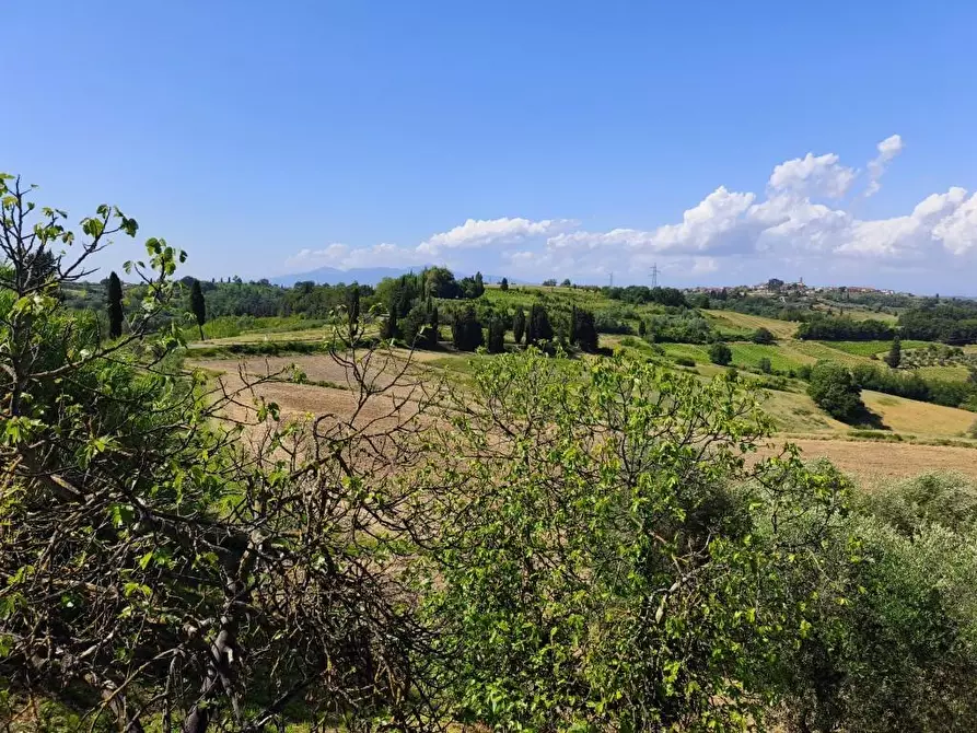 Immagine 8 di Rustico / casale in vendita  a Terricciola