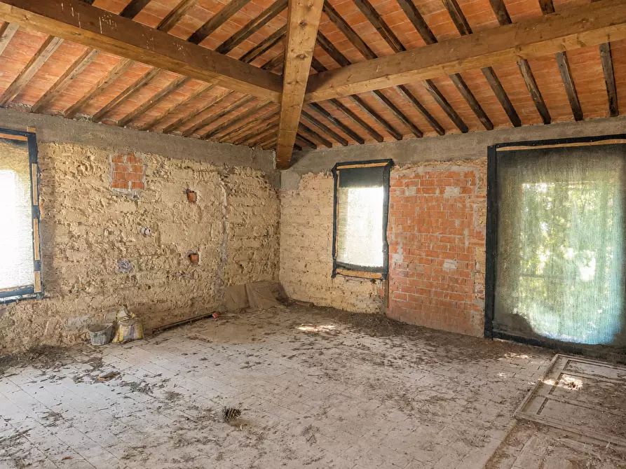 Immagine 36 di Rustico / casale in vendita  a Terricciola