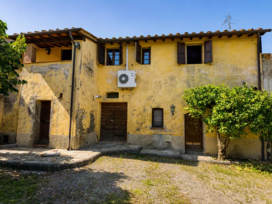Immagine 17 di Rustico / casale in vendita  a Terricciola