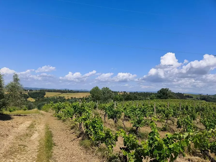 Immagine 22 di Rustico / casale in vendita  a Terricciola