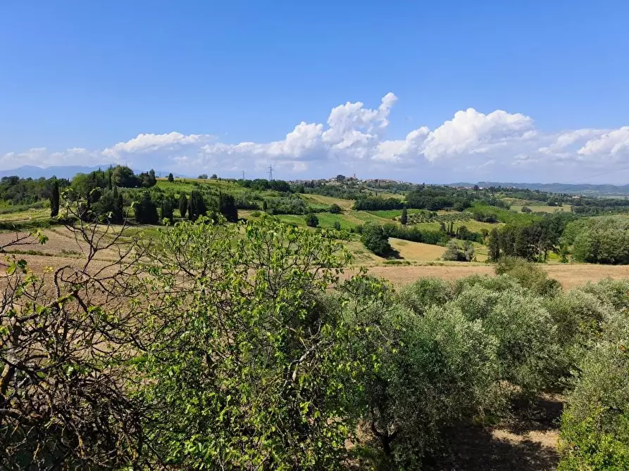 Immagine 12 di Rustico / casale in vendita  a Terricciola