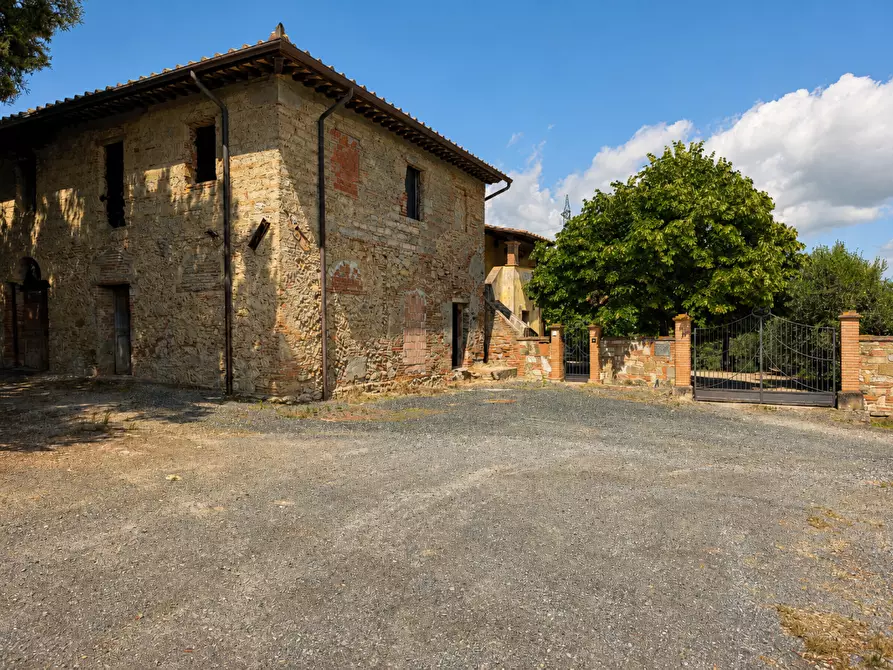 Immagine 35 di Rustico / casale in vendita  a Terricciola