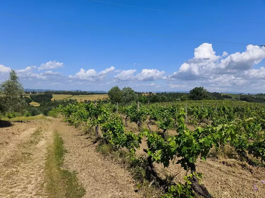 Immagine 23 di Rustico / casale in vendita  a Terricciola