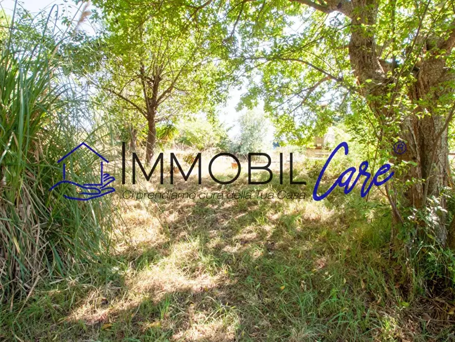 Immagine 5 di Terreno agricolo in vendita  a Livorno