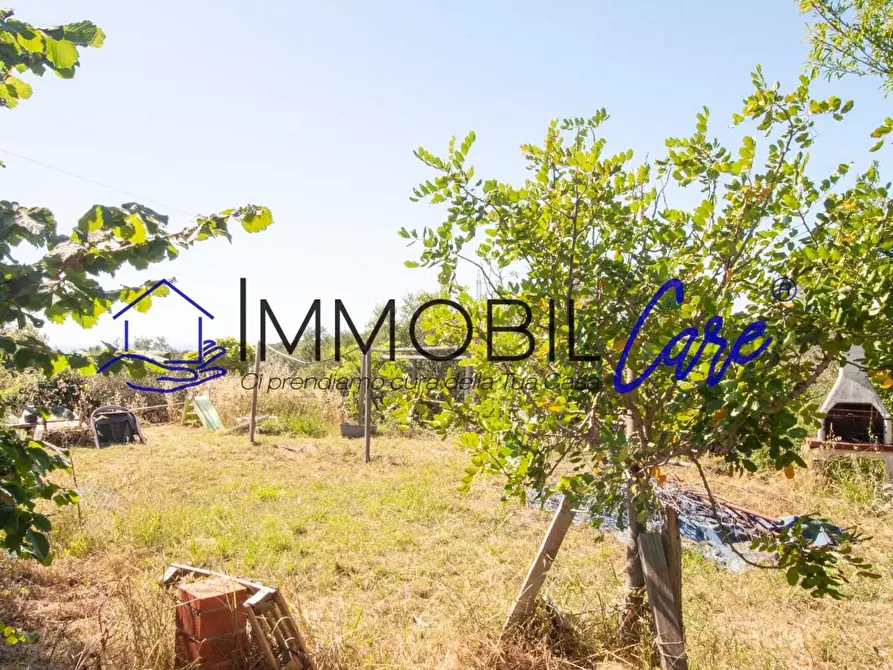 Immagine 1 di Terreno agricolo in vendita  a Livorno