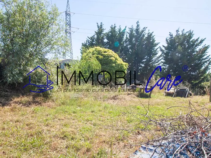 Immagine 3 di Terreno agricolo in vendita  a Livorno