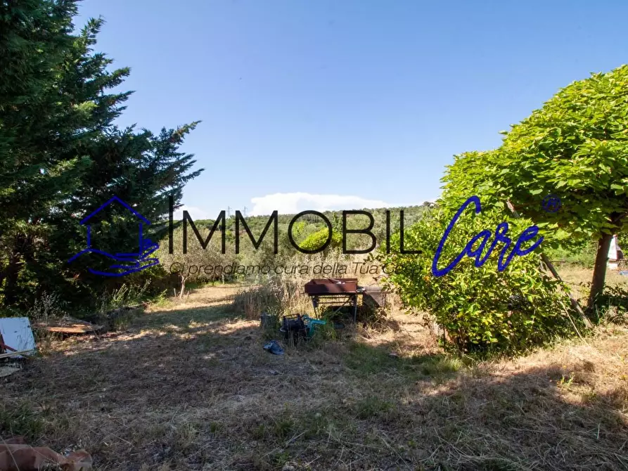 Immagine 10 di Terreno agricolo in vendita  a Livorno