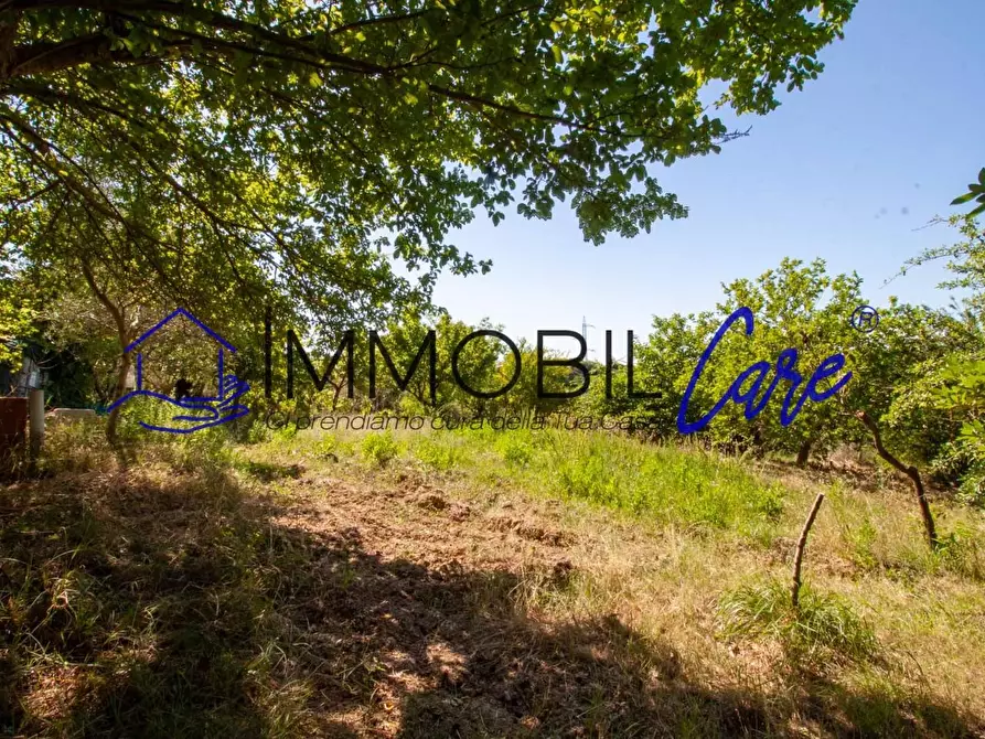 Immagine 4 di Terreno agricolo in vendita  a Livorno