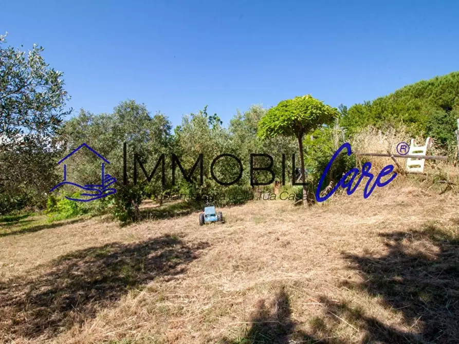 Immagine 8 di Terreno agricolo in vendita  a Livorno