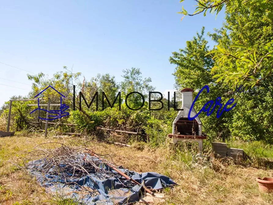 Immagine 2 di Terreno agricolo in vendita  a Livorno