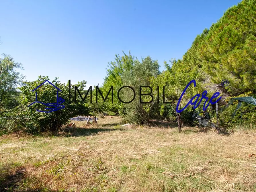 Immagine 11 di Terreno agricolo in vendita  a Livorno