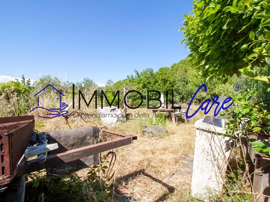 Immagine 9 di Terreno agricolo in vendita  a Livorno