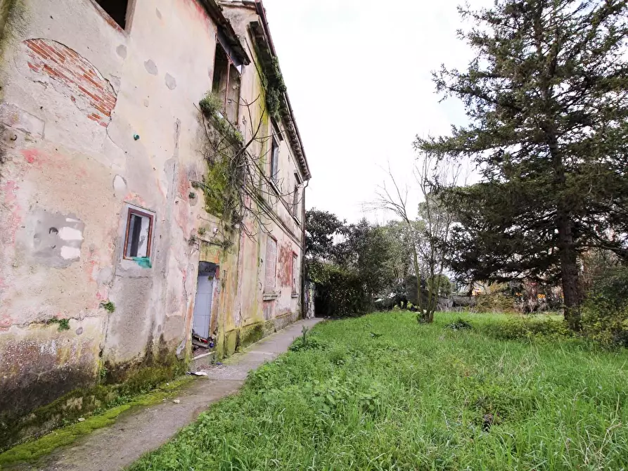 Immagine 5 di Casa colonica in vendita  a San Giuliano Terme