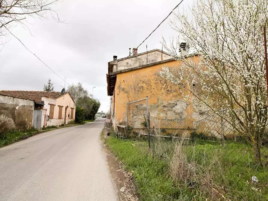 Immagine 15 di Casa colonica in vendita  a San Giuliano Terme