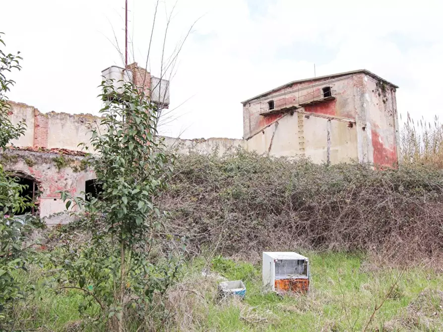 Immagine 13 di Casa colonica in vendita  a San Giuliano Terme