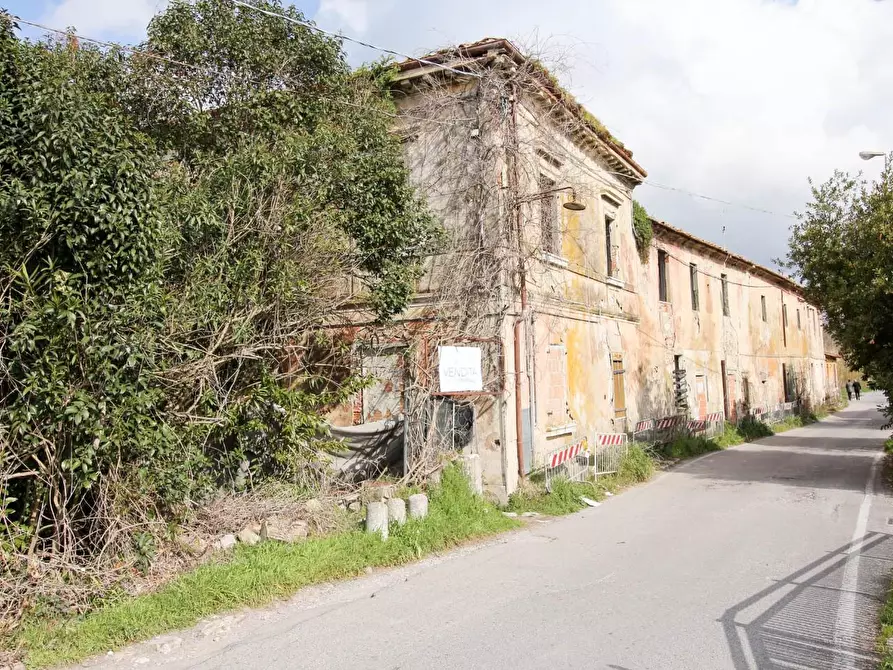 Immagine 9 di Casa colonica in vendita  a San Giuliano Terme