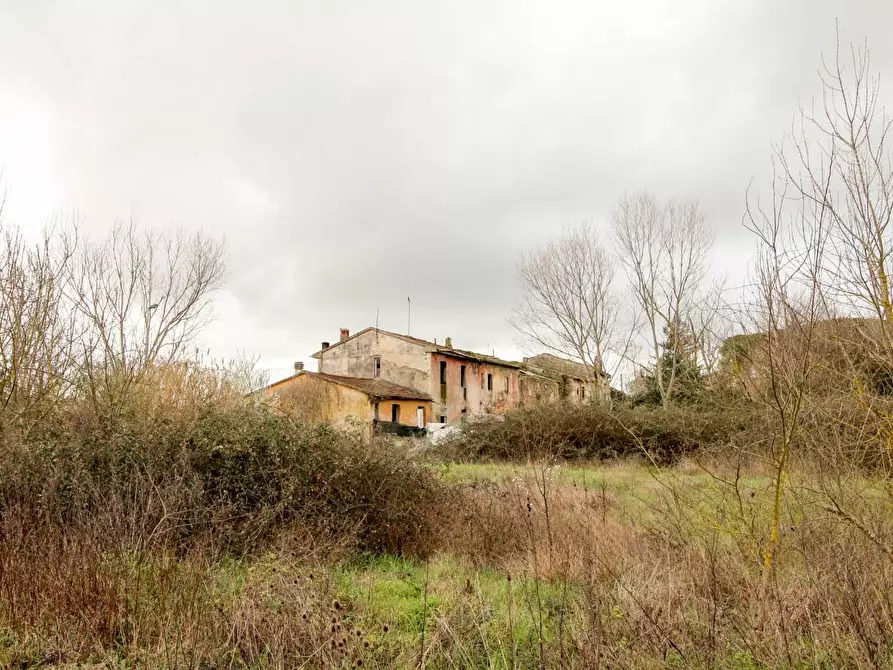 Immagine 17 di Casa colonica in vendita  a San Giuliano Terme