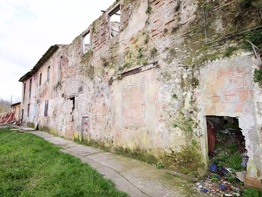 Immagine 2 di Casa colonica in vendita  a San Giuliano Terme