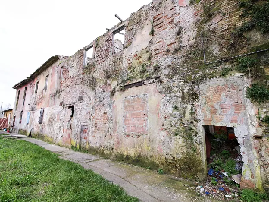Immagine 6 di Casa colonica in vendita  a San Giuliano Terme