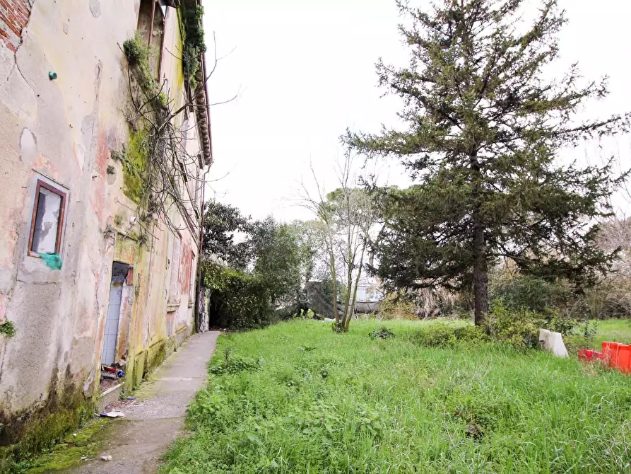 Immagine 4 di Casa colonica in vendita  a San Giuliano Terme