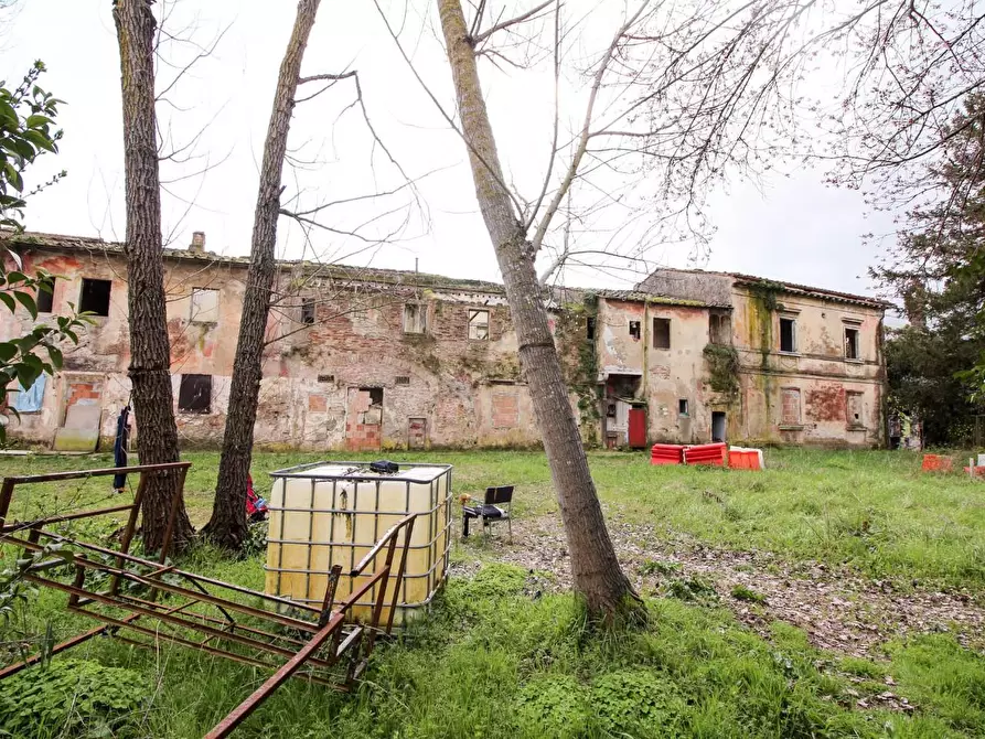 Immagine 14 di Casa colonica in vendita  a San Giuliano Terme