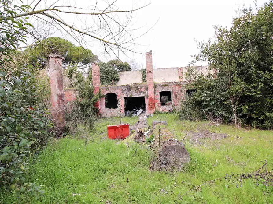 Immagine 11 di Casa colonica in vendita  a San Giuliano Terme