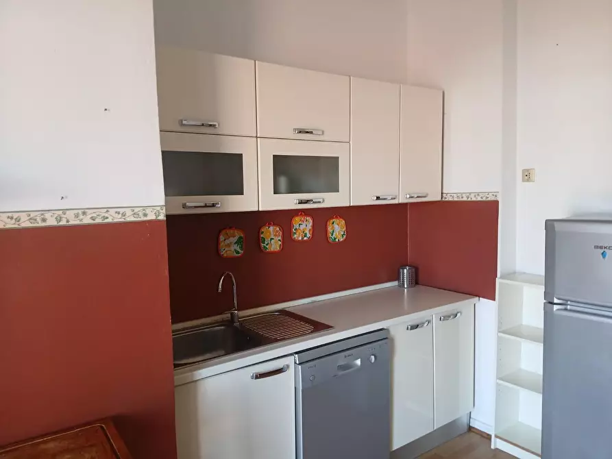 Immagine 20 di Appartamento in affitto  a Pisa