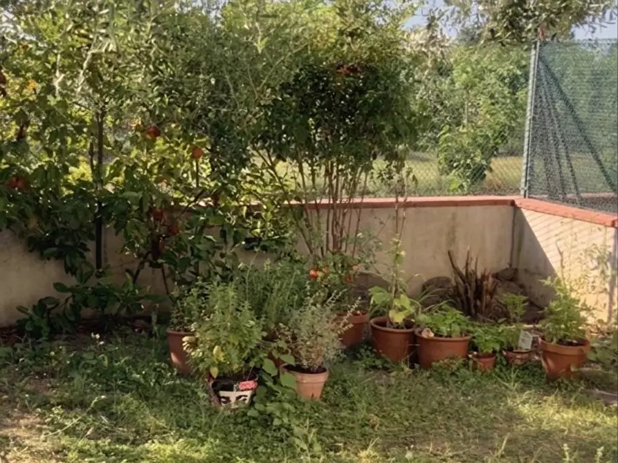 Immagine 2 di Appartamento in vendita  a Empoli
