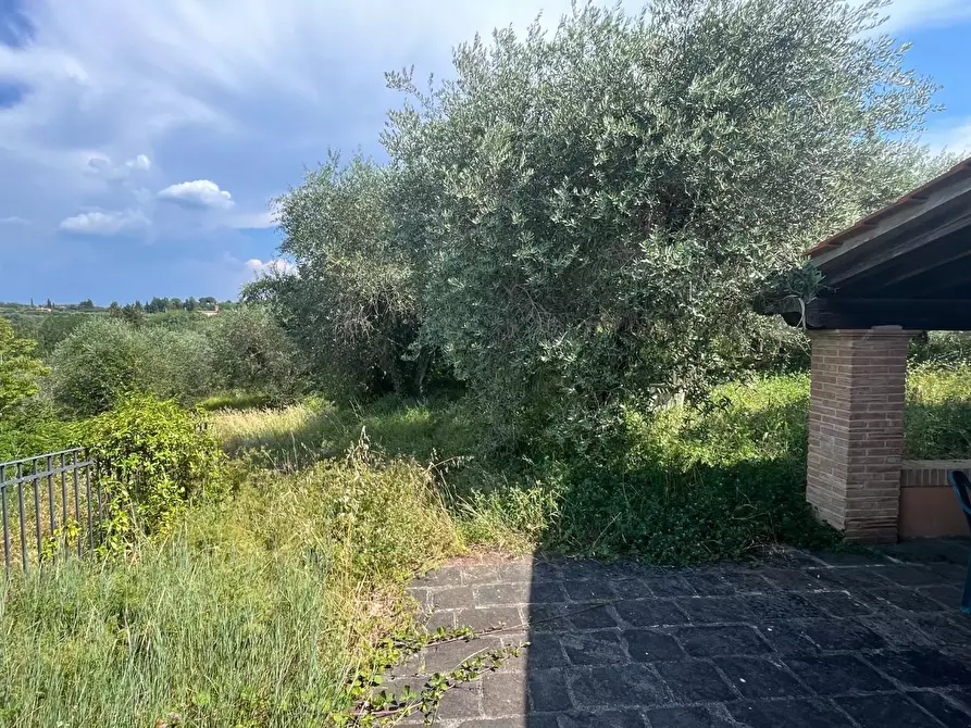 Immagine 12 di Rustico / casale in vendita  a Montopoli In Val D'arno